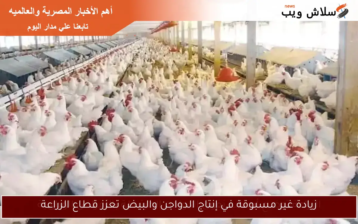 زيادة غير مسبوقة في إنتاج الدواجن والبيض تعزز قطاع الزراعة