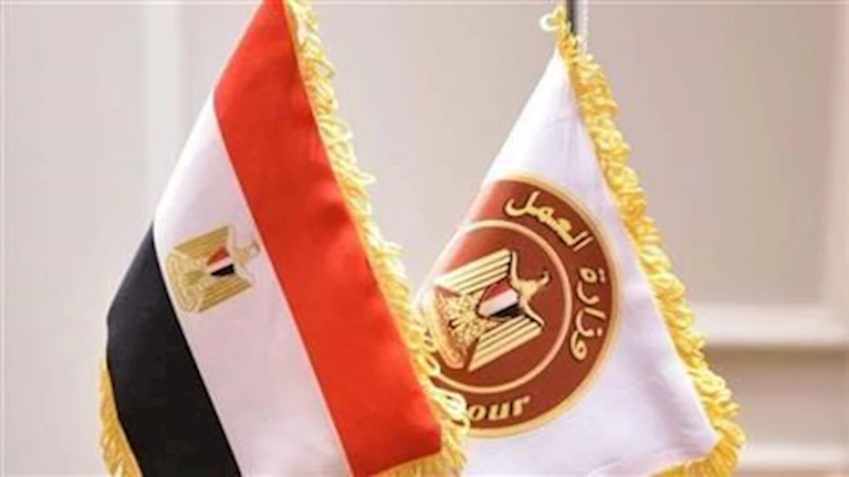 كيف يوفر قانون العمل الجديد الحماية للعمالة غير المنتظمة؟ مجدي البدوي يشرح التفاصيل 2 كيف يوفر قانون العمل الجديد الحماية للعمالة غير المنتظمة؟ مجدي البدوي يشرح التفاصيل