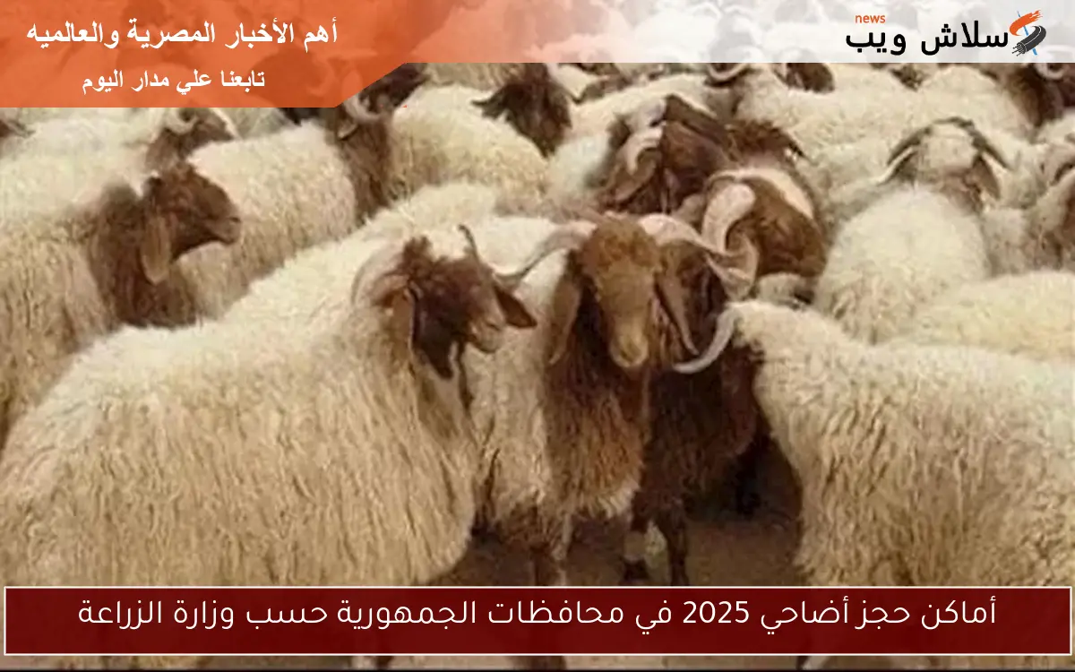 أماكن حجز أضاحي 2025 في محافظات الجمهورية حسب وزارة الزراعة