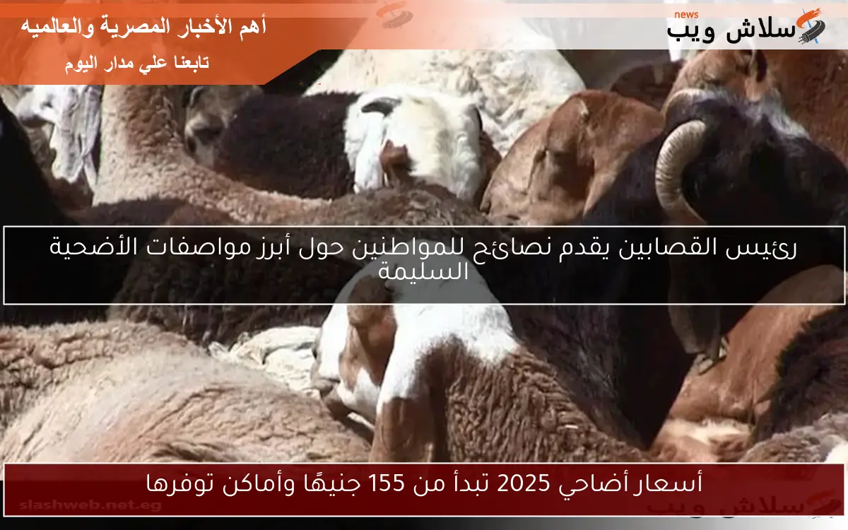 أسعار أضاحي 2025 تبدأ من 155 جنيهًا وأماكن توفرها