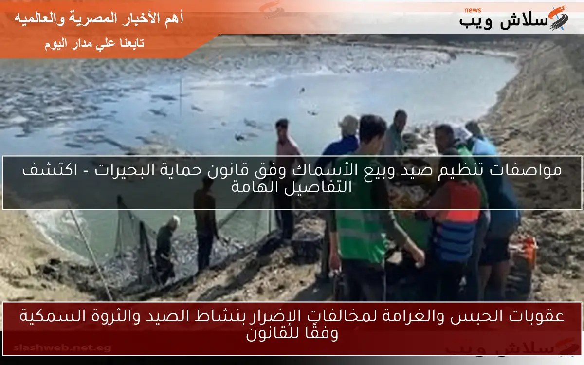 عقوبات الحبس والغرامة لمخالفات الإضرار بنشاط الصيد والثروة السمكية وفقًا للقانون
