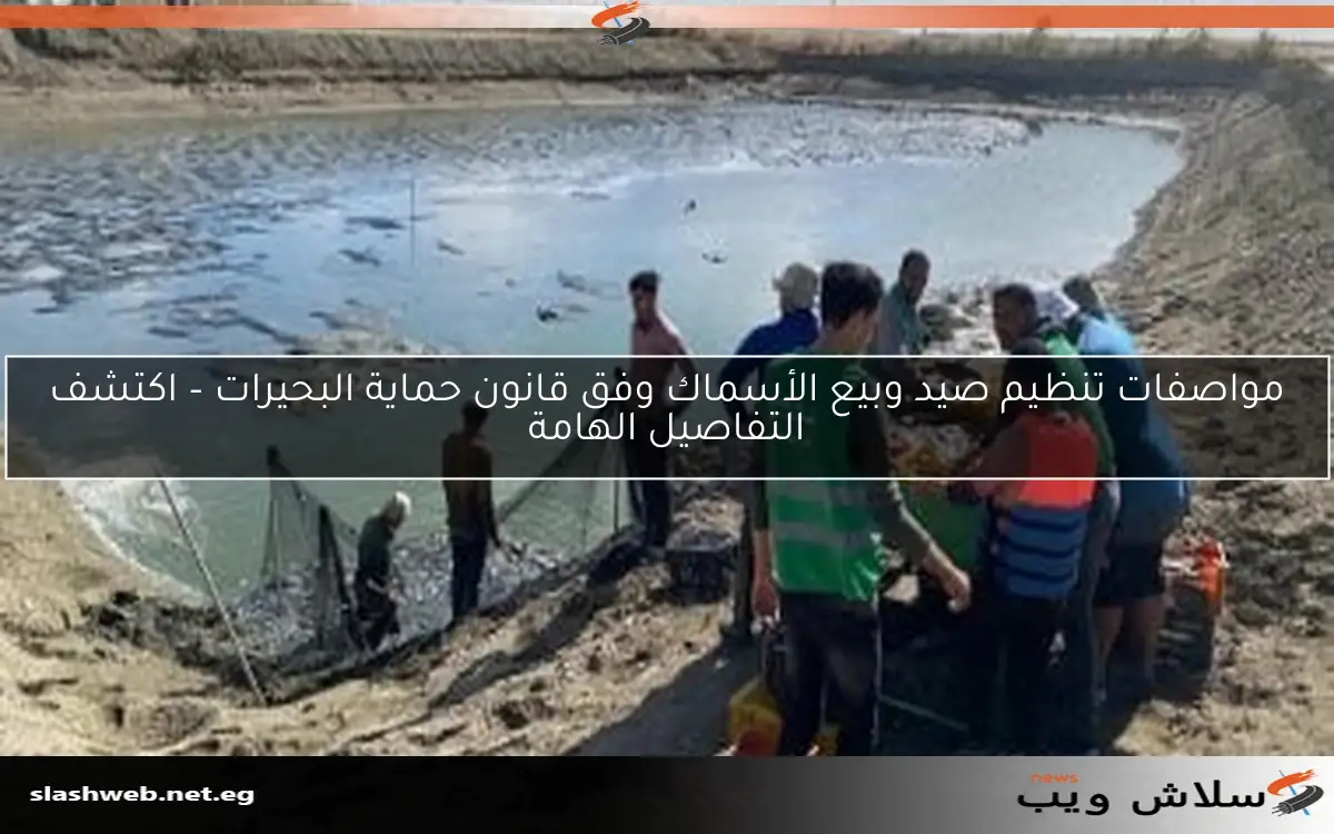 مواصفات تنظيم صيد وبيع الأسماك وفق قانون حماية البحيرات – اكتشف التفاصيل الهامة 2 مواصفات تنظيم صيد وبيع الأسماك وفق قانون حماية البحيرات – اكتشف التفاصيل الهامة