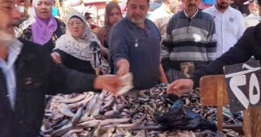 حلقة عزبة البرج.. مركز يومي لتوزيع الأسماك الطازجة من الرابعة فجرًا 2 حلقة عزبة البرج.. مركز يومي لتوزيع الأسماك الطازجة من الرابعة فجرًا