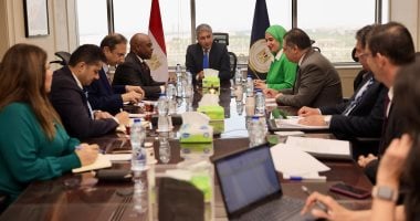 مصر تستضيف اجتماعات منظمة الدول الثماني النامية لتعزيز التعاون الاقتصادي 2 مصر تستضيف اجتماعات منظمة الدول الثماني النامية لتعزيز التعاون الاقتصادي
