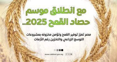 الحكومة تكشف عن جهودها في تعزيز الإنتاج المحلي من القمح وتأمين المخزون عبر الإنفوجراف 2 الحكومة تكشف عن جهودها في تعزيز الإنتاج المحلي من القمح وتأمين المخزون عبر الإنفوجراف