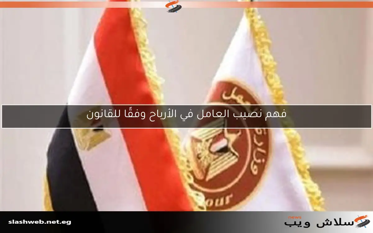 فهم نصيب العامل في الأرباح وفقًا للقانون 2 فهم نصيب العامل في الأرباح وفقًا للقانون