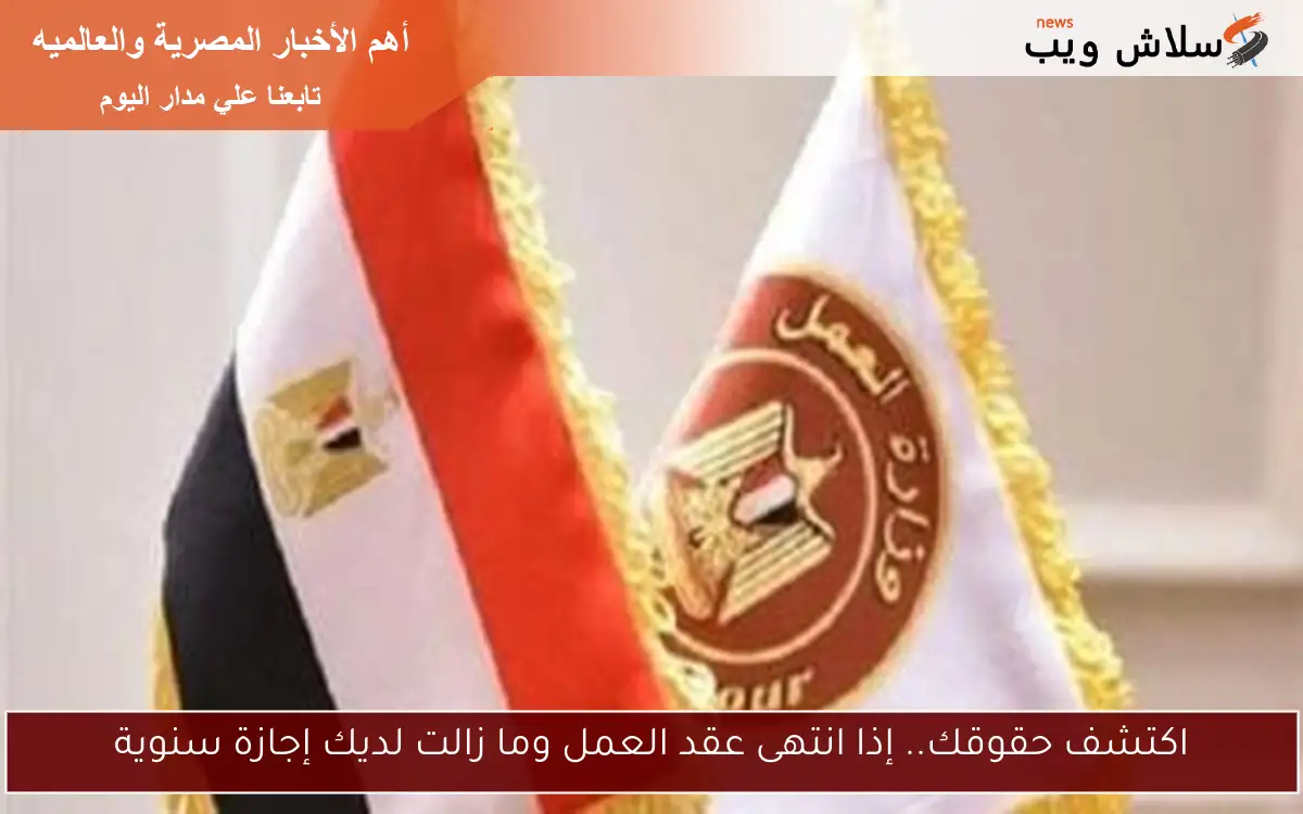 اكتشف حقوقك.. إذا انتهى عقد العمل وما زالت لديك إجازة سنوية 2 اكتشف حقوقك.. إذا انتهى عقد العمل وما زالت لديك إجازة سنوية