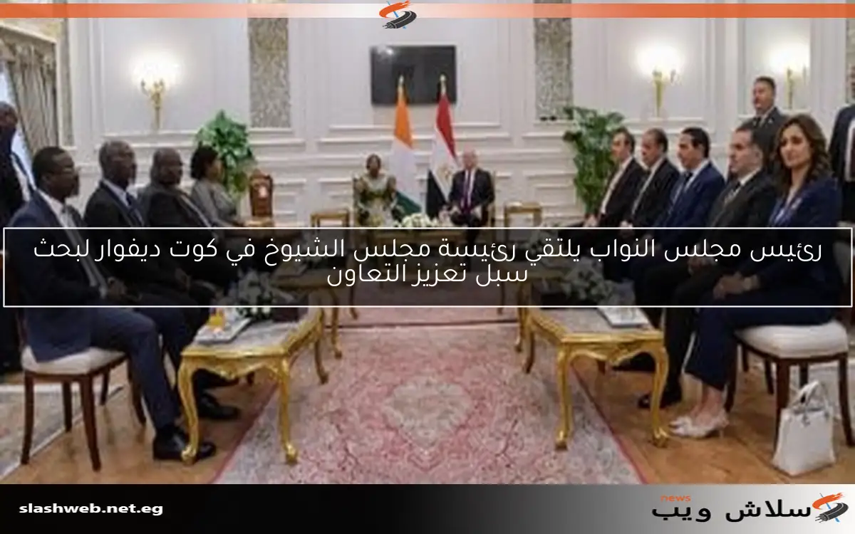 رئيس مجلس النواب يلتقي رئيسة مجلس الشيوخ في كوت ديفوار لبحث سبل تعزيز التعاون 2 رئيس مجلس النواب يلتقي رئيسة مجلس الشيوخ في كوت ديفوار لبحث سبل تعزيز التعاون