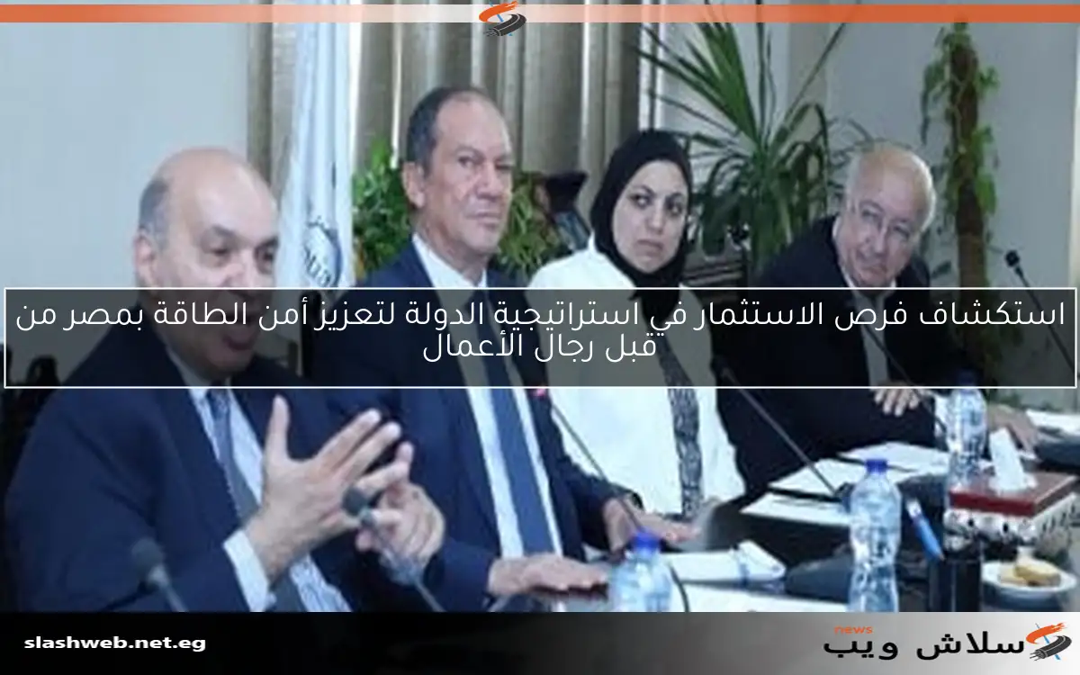 استكشاف فرص الاستثمار في استراتيجية الدولة لتعزيز أمن الطاقة بمصر من قبل رجال الأعمال 2 استكشاف فرص الاستثمار في استراتيجية الدولة لتعزيز أمن الطاقة بمصر من قبل رجال الأعمال
