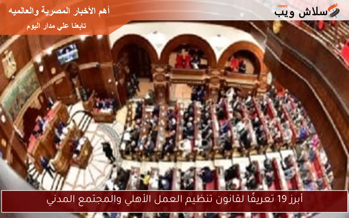 أبرز 19 تعريفًا لقانون تنظيم العمل الأهلي والمجتمع المدني 2 أبرز 19 تعريفًا لقانون تنظيم العمل الأهلي والمجتمع المدني