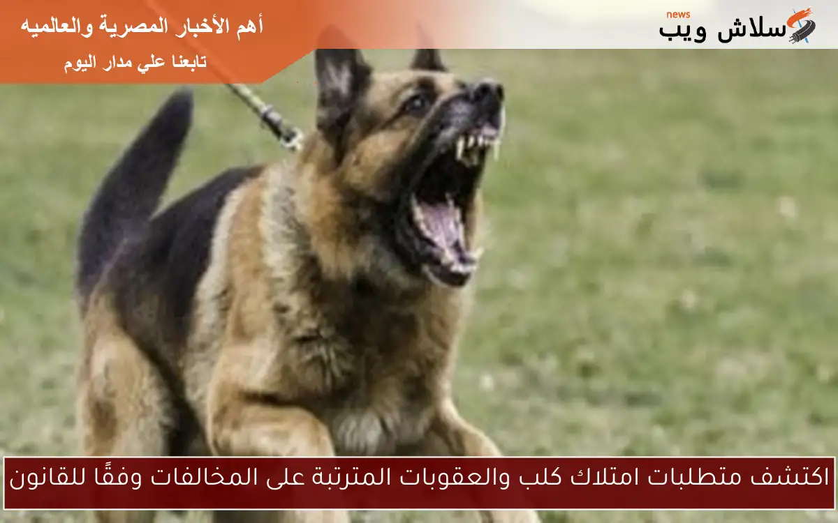 اكتشف متطلبات امتلاك كلب والعقوبات المترتبة على المخالفات وفقًا للقانون