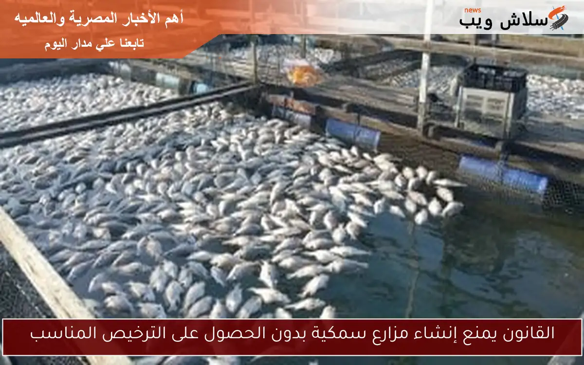 القانون يمنع إنشاء مزارع سمكية بدون الحصول على الترخيص المناسب