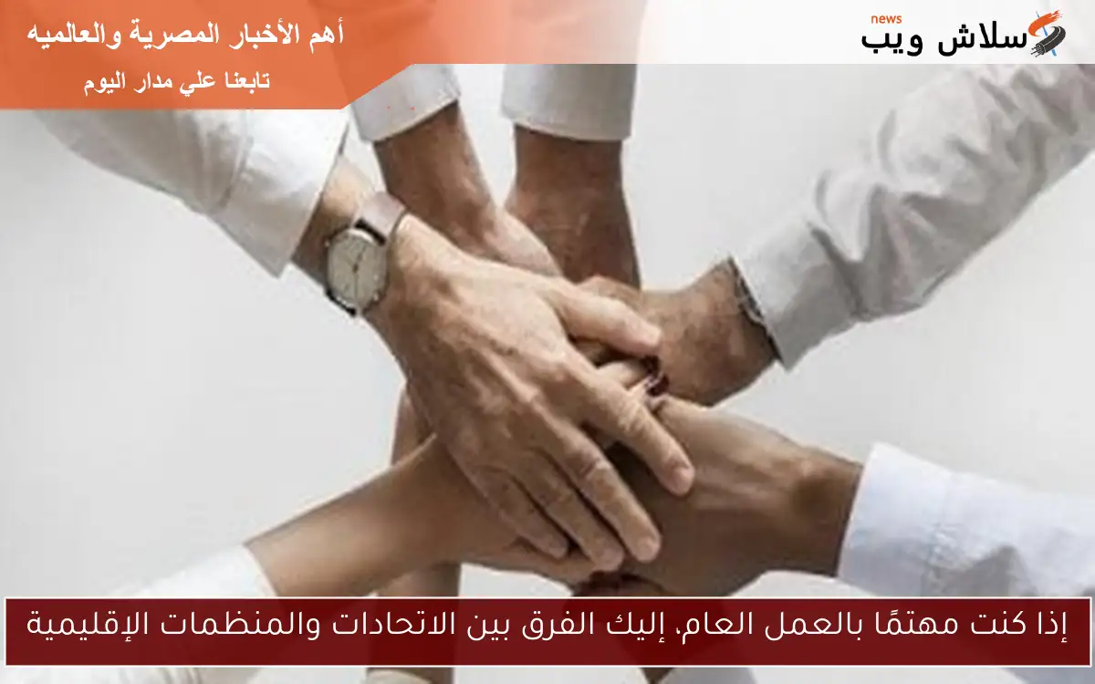 إذا كنت مهتمًا بالعمل العام، إليك الفرق بين الاتحادات والمنظمات الإقليمية