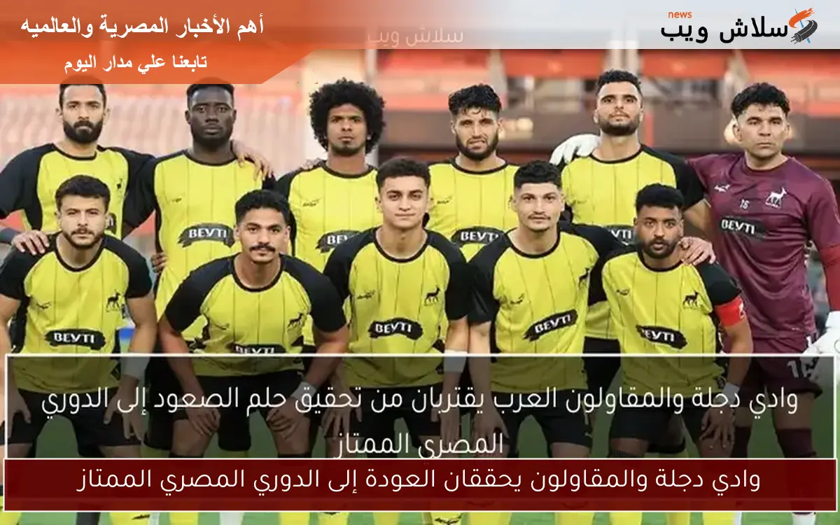 وادي دجلة والمقاولون يحققان العودة إلى الدوري المصري الممتاز