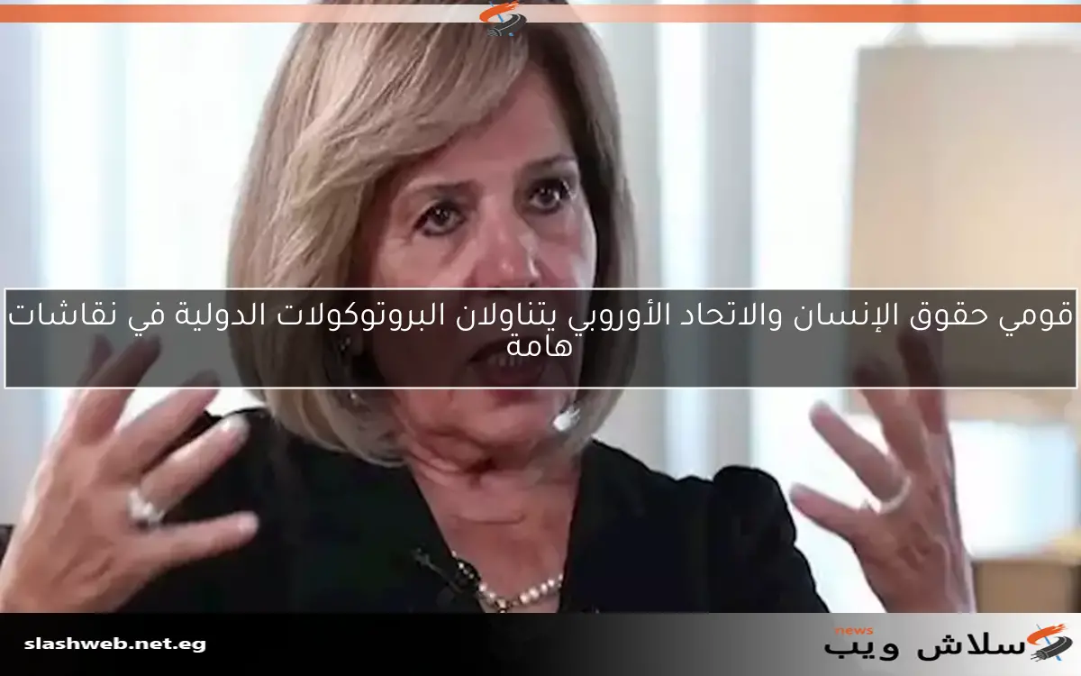 قومي حقوق الإنسان والاتحاد الأوروبي يتناولان البروتوكولات الدولية في نقاشات هامة
