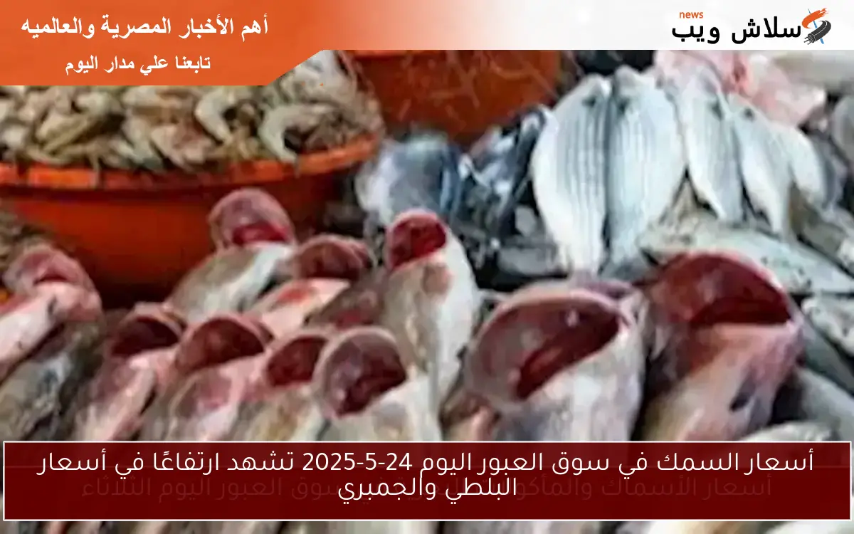 أسعار السمك في سوق العبور اليوم 24-5-2025 تشهد ارتفاعًا في أسعار البلطي والجمبري