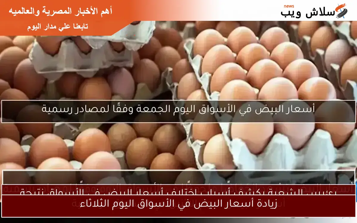 أسعار البيض في الأسواق اليوم الجمعة وفقًا لمصادر رسمية 2 أسعار البيض في الأسواق اليوم الجمعة وفقًا لمصادر رسمية