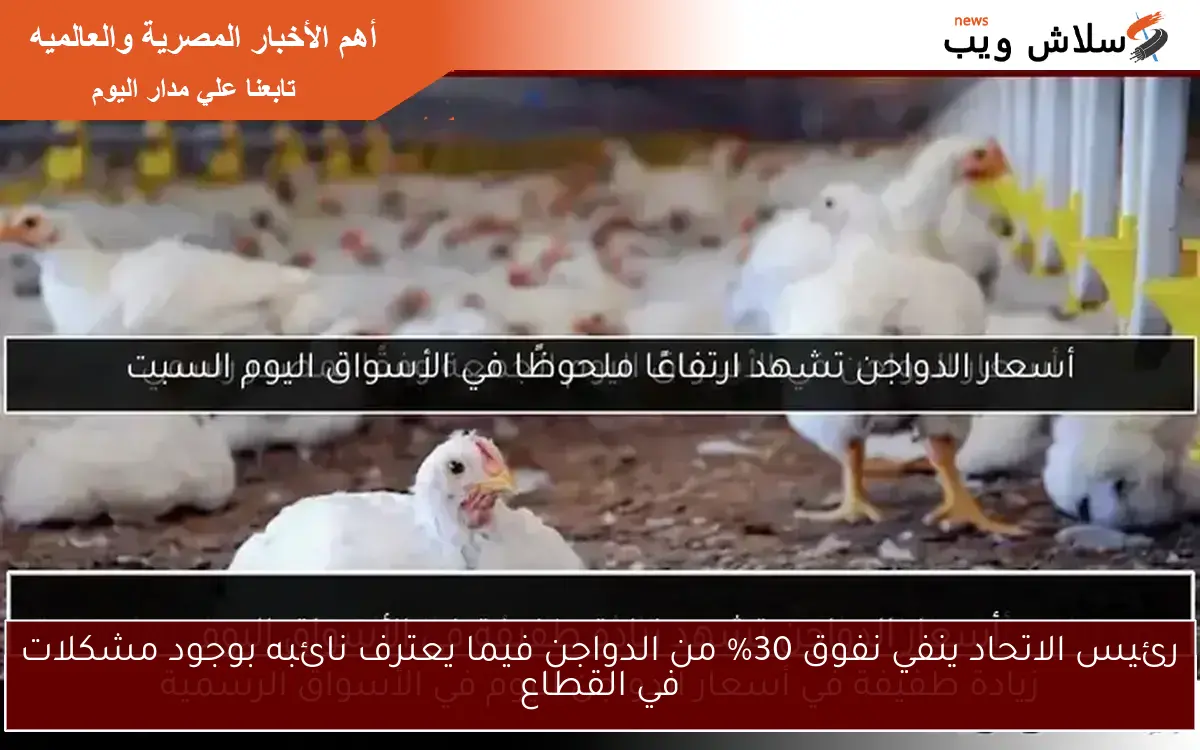 رئيس الاتحاد ينفي نفوق 30% من الدواجن فيما يعترف نائبه بوجود مشكلات في القطاع