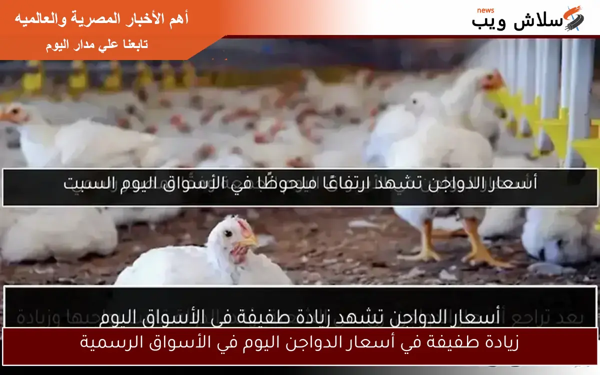 أسعار اليوم تشهد ارتفاعًا في الحديد والدواجن والذهب