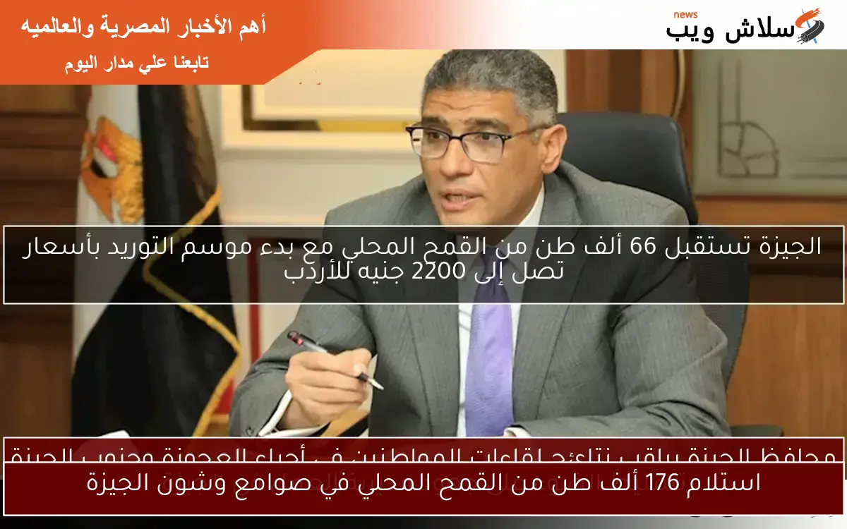 استلام 176 ألف طن من القمح المحلي في صوامع وشون الجيزة