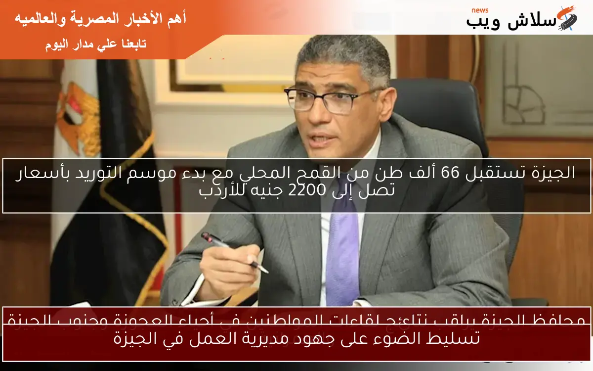الجيزة تستقبل 66 ألف طن من القمح المحلي مع بدء موسم التوريد بأسعار تصل إلى 2200 جنيه للأردب