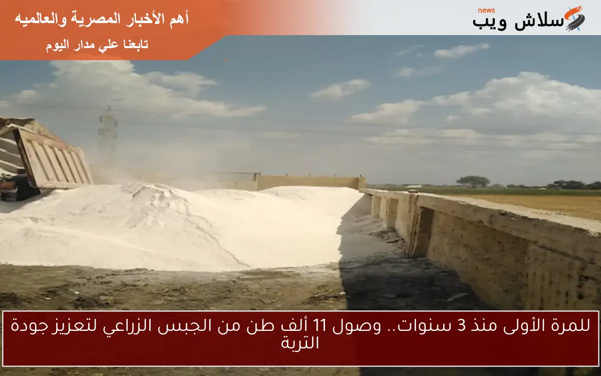 للمرة الأولى منذ 3 سنوات.. وصول 11 ألف طن من الجبس الزراعي لتعزيز جودة التربة 2 للمرة الأولى منذ 3 سنوات.. وصول 11 ألف طن من الجبس الزراعي لتعزيز جودة التربة
