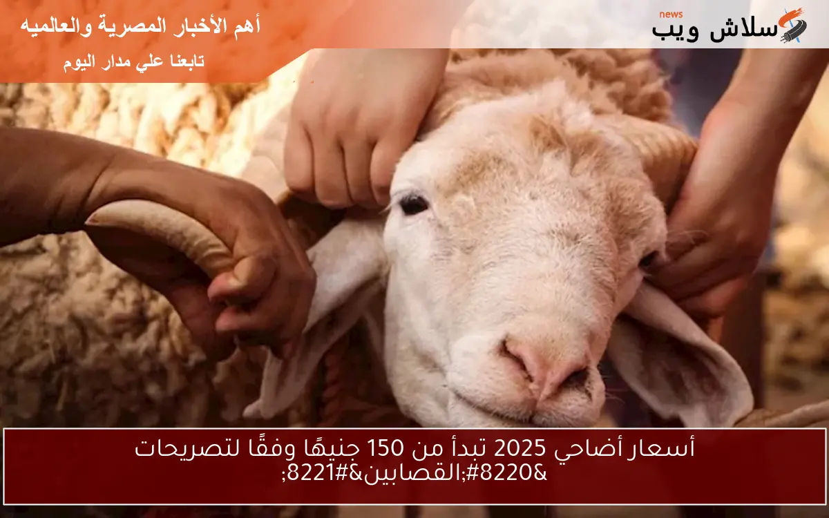 أسعار أضاحي 2025 تبدأ من 150 جنيهًا وفقًا لتصريحات “القصابين”