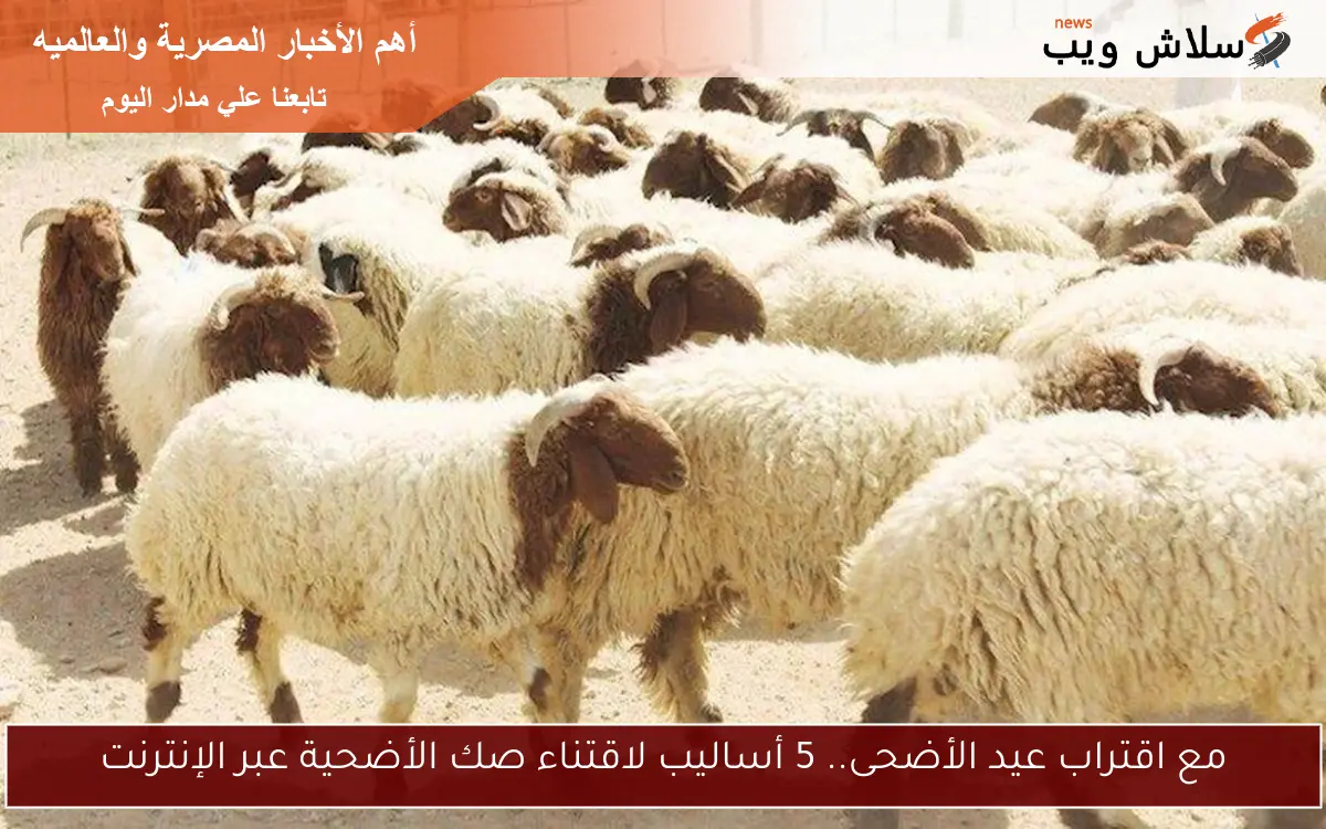 مع اقتراب عيد الأضحى.. 5 أساليب لاقتناء صك الأضحية عبر الإنترنت 2 مع اقتراب عيد الأضحى.. 5 أساليب لاقتناء صك الأضحية عبر الإنترنت