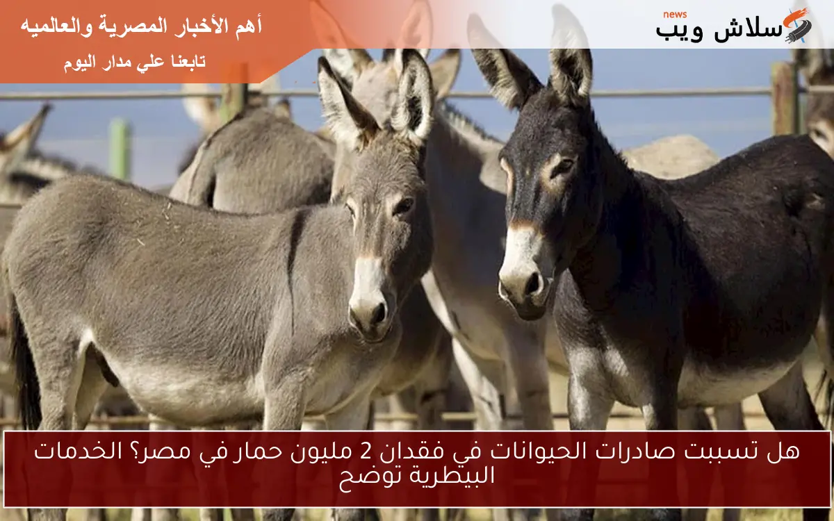 هل تسببت صادرات الحيوانات في فقدان 2 مليون حمار في مصر؟ الخدمات البيطرية توضح 2 هل تسببت صادرات الحيوانات في فقدان 2 مليون حمار في مصر؟ الخدمات البيطرية توضح