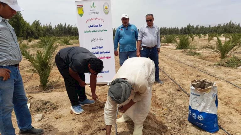 مشروع "بحوث الصحراء" يطلق 10 حقول لتعليم زراعة عباد الشمس الزيتي في جنوب سيناء 2 مشروع “بحوث الصحراء” يطلق 10 حقول لتعليم زراعة عباد الشمس الزيتي في جنوب سيناء