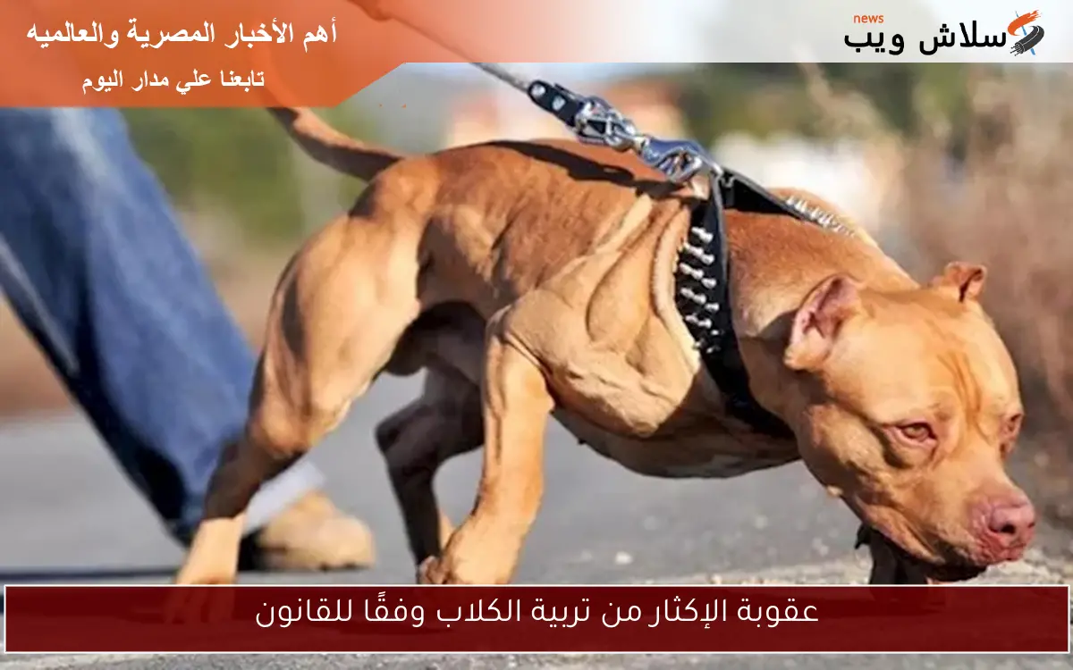 عقوبة الإكثار من تربية الكلاب وفقًا للقانون