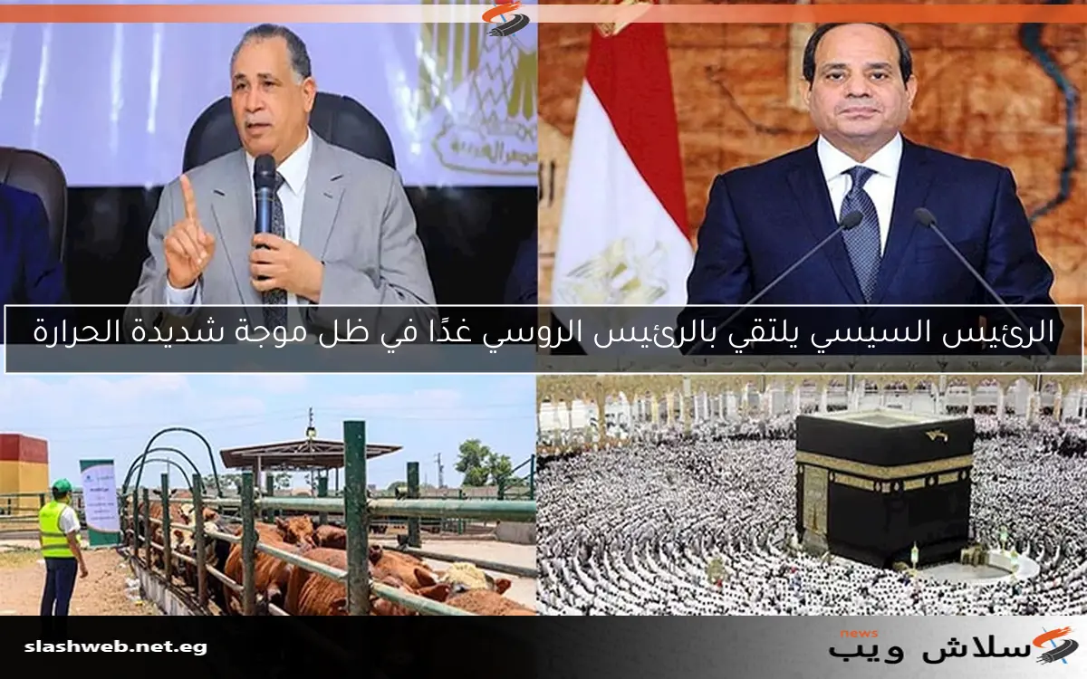 الرئيس السيسي يلتقي بالرئيس الروسي غدًا في ظل موجة شديدة الحرارة 2 الرئيس السيسي يلتقي بالرئيس الروسي غدًا في ظل موجة شديدة الحرارة