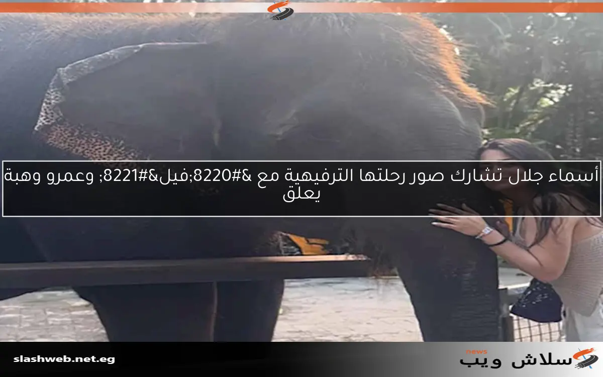 أسماء جلال تشارك صور رحلتها الترفيهية مع "فيل" وعمرو وهبة يعلق 2 أسماء جلال تشارك صور رحلتها الترفيهية مع “فيل” وعمرو وهبة يعلق