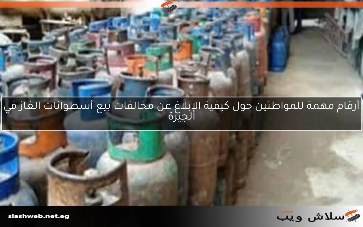 أرقام مهمة للمواطنين حول كيفية الإبلاغ عن مخالفات بيع أسطوانات الغاز في الجيزة 2 أرقام مهمة للمواطنين حول كيفية الإبلاغ عن مخالفات بيع أسطوانات الغاز في الجيزة