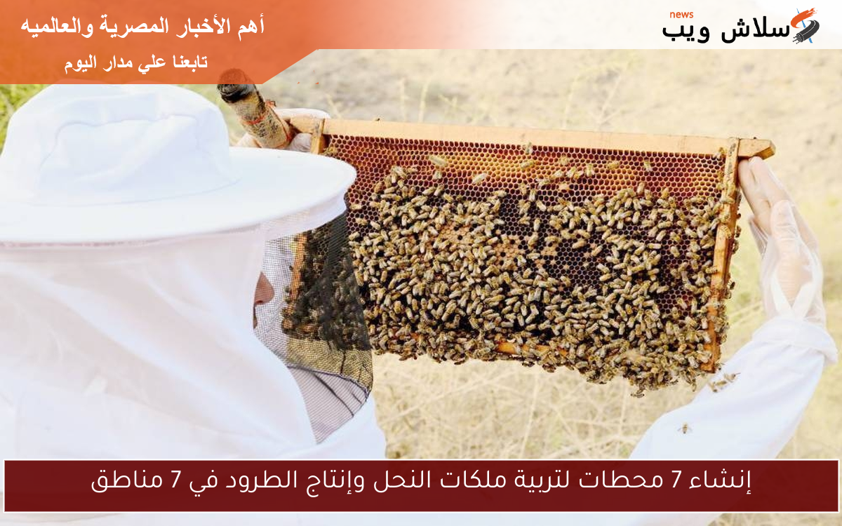 إنشاء 7 محطات لتربية ملكات النحل وإنتاج الطرود في 7 مناطق
