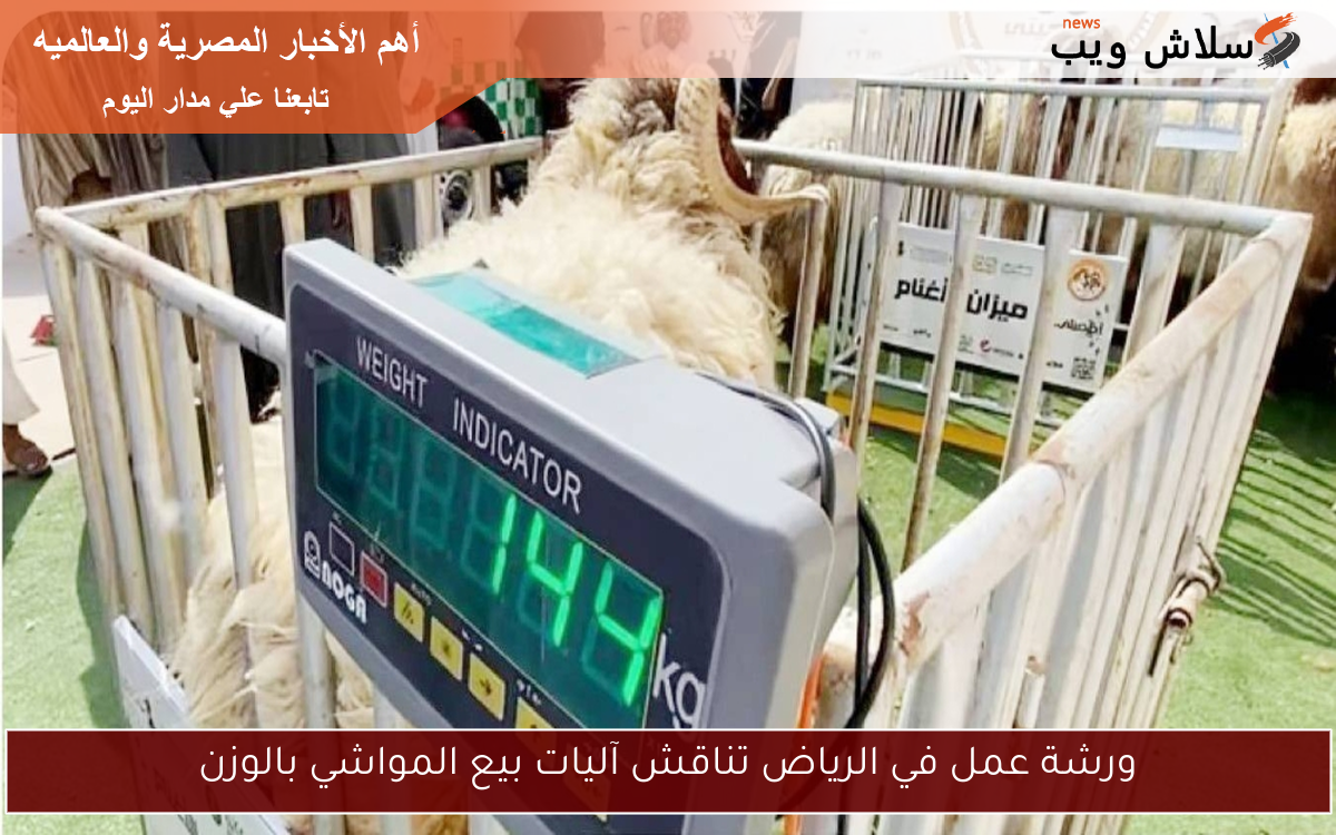 ورشة عمل في الرياض تناقش آليات بيع المواشي بالوزن