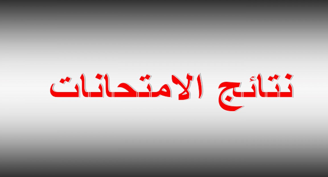 4و5و6 ابتدائي.. نتيجة الصف الرابع والخامس والسادس الابتدائي 2025 بالاسم ورقم الجلوس eduserv.cairo.gov.eg