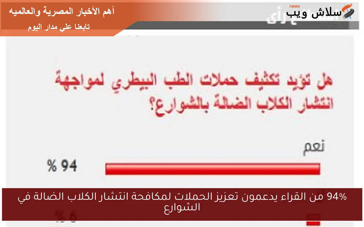 94% من القراء يدعمون تعزيز الحملات لمكافحة انتشار الكلاب الضالة في الشوارع