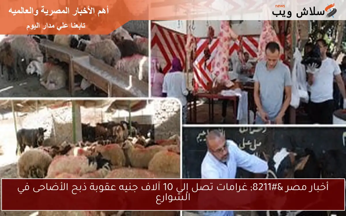 أخبار مصر – غرامات تصل إلى 10 آلاف جنيه عقوبة ذبح الأضاحى في الشوارع