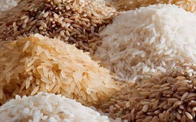 “الحق حزن للفتة” أسعار الأرز الشعير اليوم الخميس 2025/5/22 في الأسواق المصرية