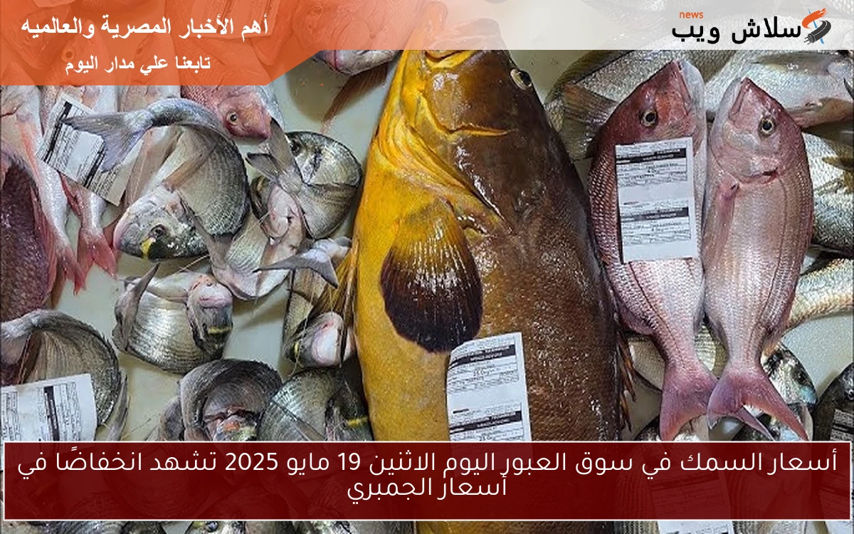 أسعار السمك في سوق العبور اليوم الاثنين 19 مايو 2025 تشهد انخفاضًا في أسعار الجمبري