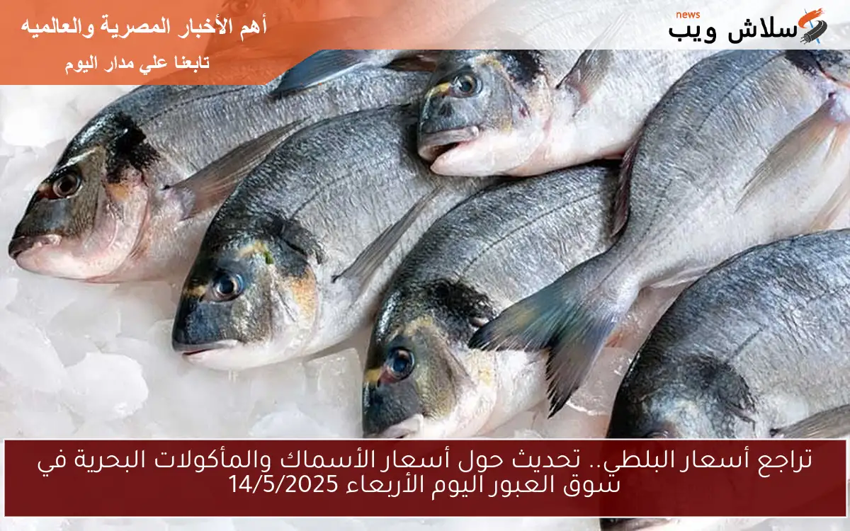 تراجع أسعار البلطي.. تحديث حول أسعار الأسماك والمأكولات البحرية في سوق العبور اليوم الأربعاء 14/5/2025 2 تراجع أسعار البلطي.. تحديث حول أسعار الأسماك والمأكولات البحرية في سوق العبور اليوم الأربعاء 14/5/2025