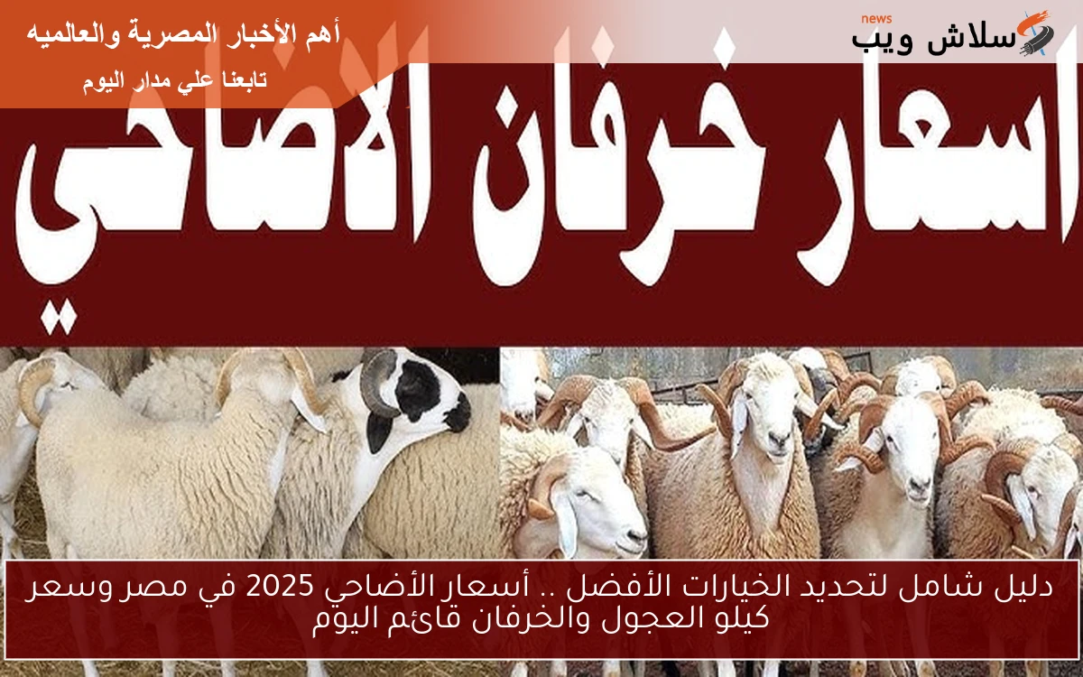 دليل شامل لتحديد الخيارات الأفضل .. أسعار الأضاحي 2025 في مصر وسعر كيلو العجول والخرفان قائم اليوم