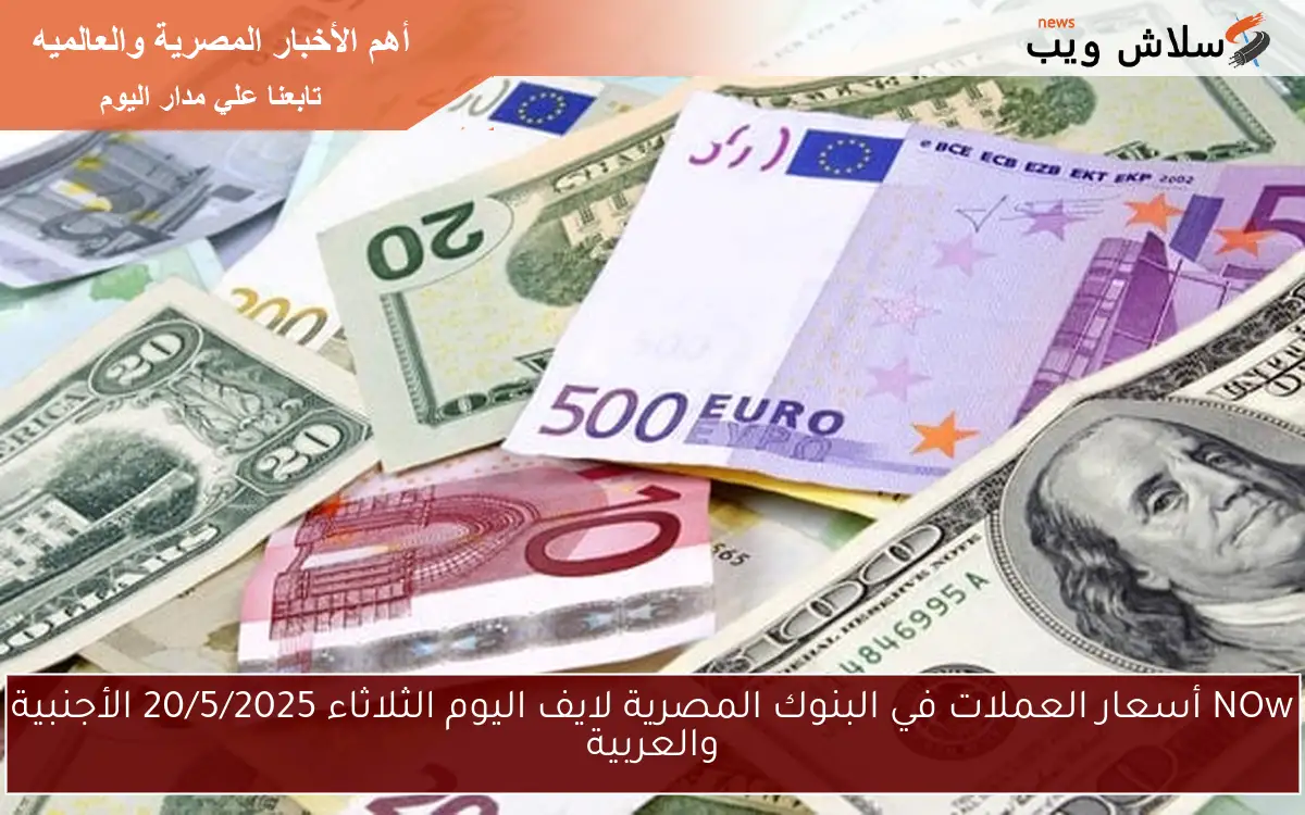 NOw أسعار العملات في البنوك المصرية لايف اليوم الثلاثاء 20/5/2025 الأجنبية والعربية