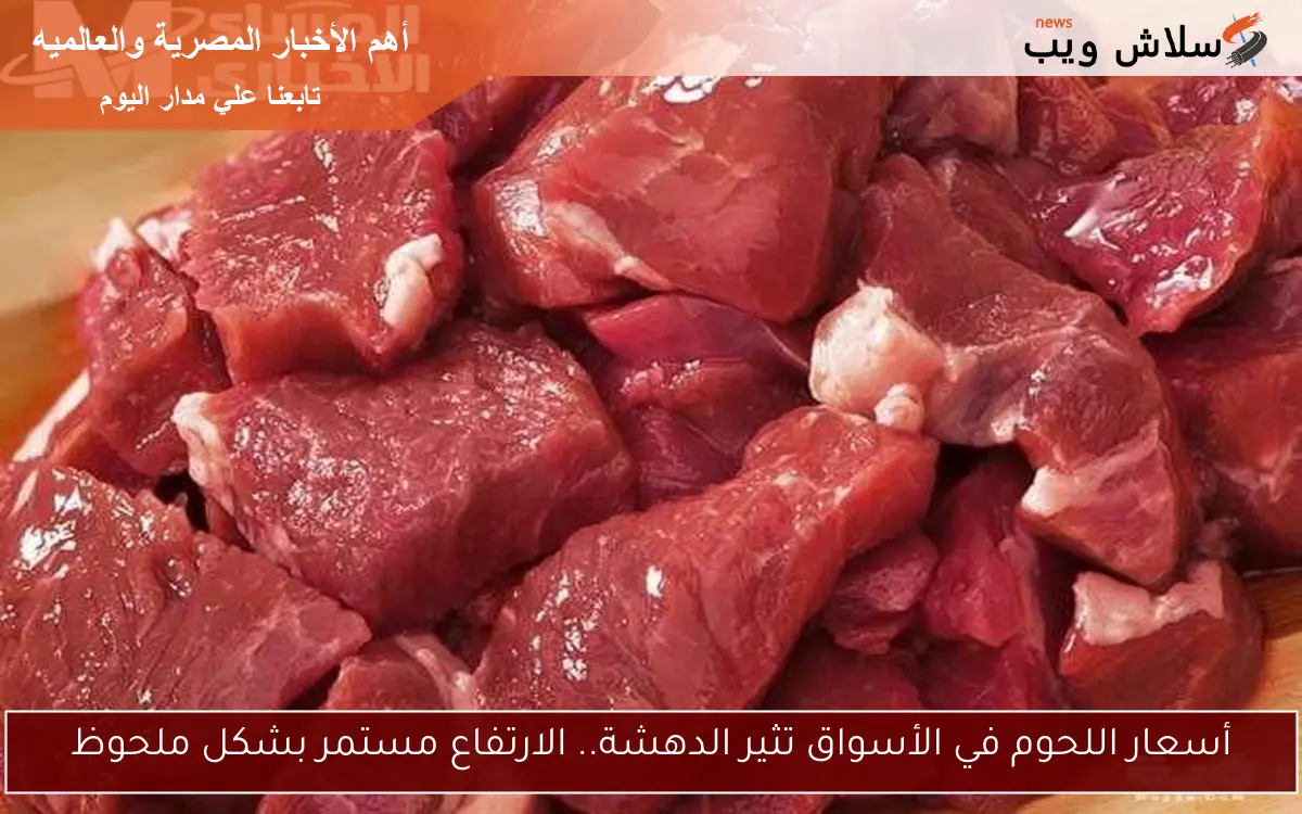 أسعار اللحوم في الأسواق تثير الدهشة.. الارتفاع مستمر بشكل ملحوظ 2 أسعار اللحوم في الأسواق تثير الدهشة.. الارتفاع مستمر بشكل ملحوظ