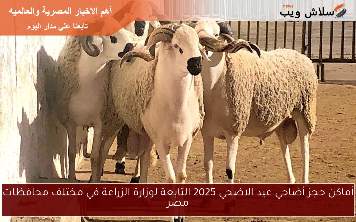 أماكن حجز أضاحي عيد الاضحي 2025 التابعة لوزارة الزراعة في مختلف محافظات مصر