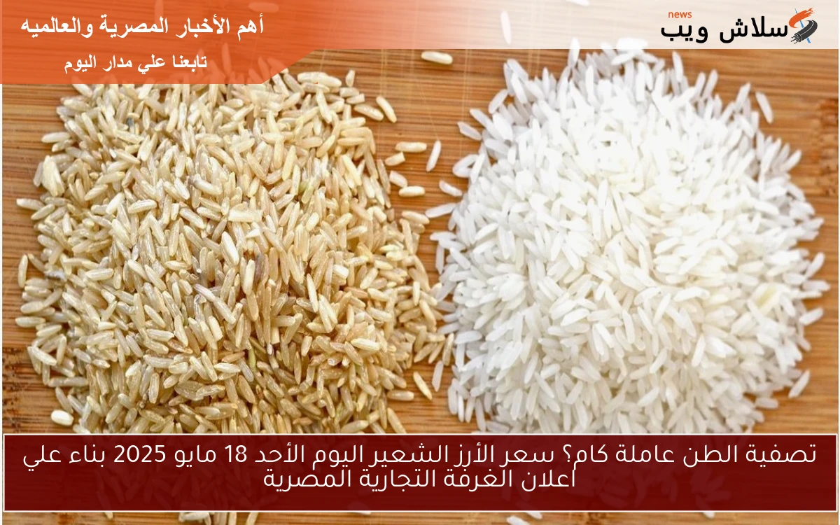 تصفية الطن عاملة كام؟ سعر الأرز الشعير اليوم الأحد 18 مايو 2025 بناء علي اعلان الغرفة التجارية المصرية