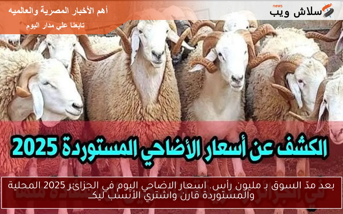 بعد مدّ السوق بـ مليون رأس. اسعار الاضاحي اليوم في الجزائر 2025 المحلية والمستوردة قارن واشتري الأنسب ليكـــ