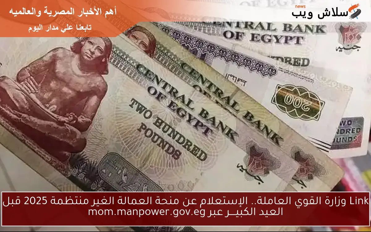 Link وزارة القوي العاملة.. الإستعلام عن منحة العمالة الغير منتظمة 2025 قبل العيد الكبيــــر عبر mom.manpower.gov.eg