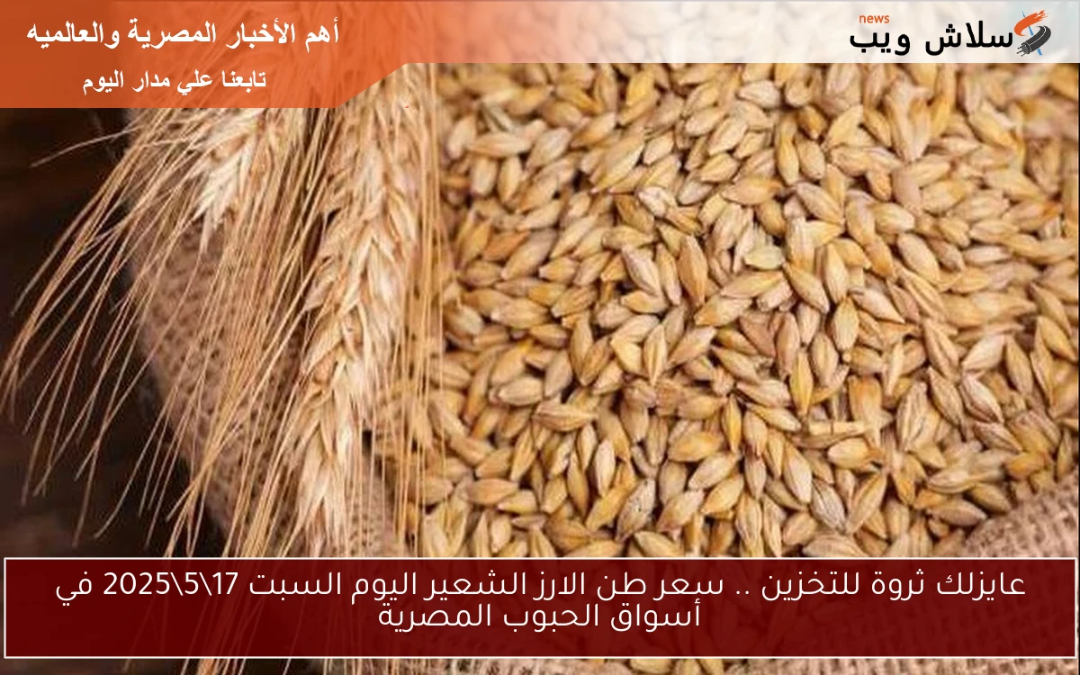 عايزلك ثروة للتخزين .. سعر طن الارز الشعير اليوم السبت 17\5\2025 في أسواق الحبوب المصرية